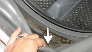 Illustration : "Adieu les mauvaises odeurs et la saleté dans les joints de votre machine à laver avec cette astuce!"
