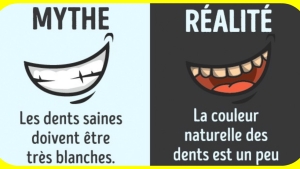 Illustration : "Stop: Ces 11 mythes sur le corps humain sont complètement faux! "