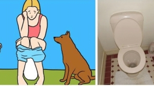 Illustration : "Voici pourquoi votre chien ne peut s'empêcher de vous suivre aux toilettes ! C'est surprenant."