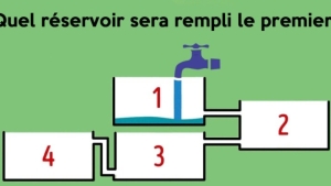 Illustration : "Seules 12 personnes sur 100 trouvent la bonne réponse du premier coup ! "