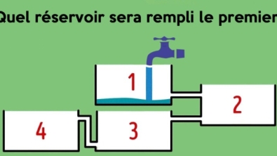 Illustration : "Seules 12 personnes sur 100 trouvent la bonne réponse du premier coup ! "