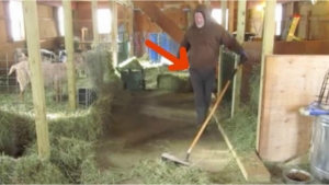 Image illustrant l'article À 0:35, impossible de ne pas sourire devant cet homme qui balaie sa grange...
