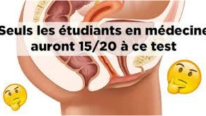 Illustration : " Tu dois surement être étudiant en médecine si tu arrives à faire 15/20 à ce test!"