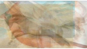 Image illustrant l'article La première chose que vous voyez sur cette image en dit beaucoup sur votre personnalité...